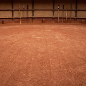 Kalaripayattu Martial Arts Workshop